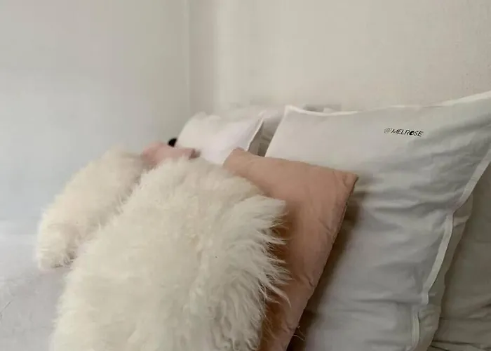 Lejlighed Break By Melrose *